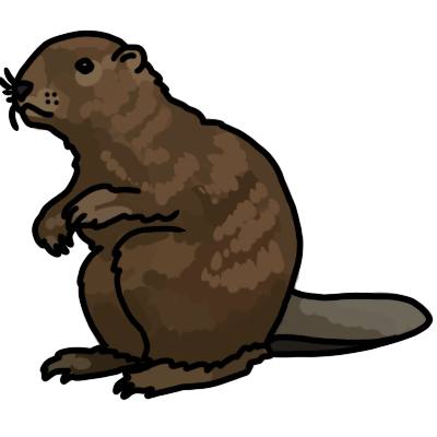 a shaded drawing of a squatting American beaver, facing the right, with black lineart.